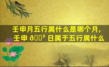 壬申月五行属什么是哪个月,壬申 🐳 日属于五行属什么